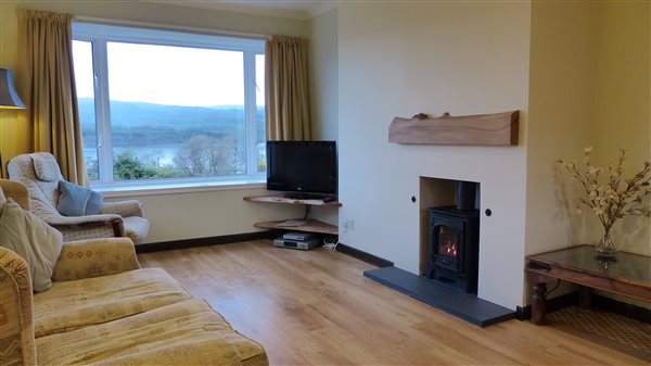 lounge with wood burner effect gas fire